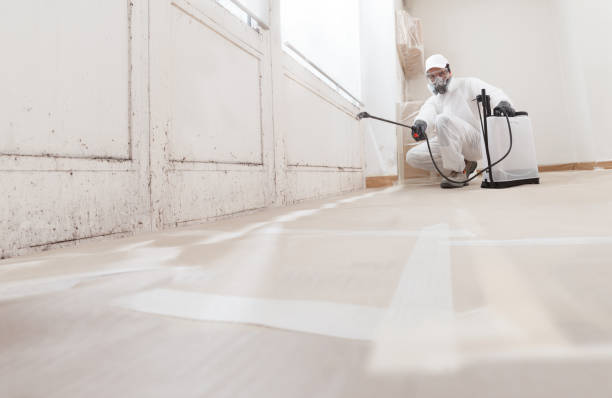 24/7 Emergency Basement Mold Removal experts in Closter, NJ