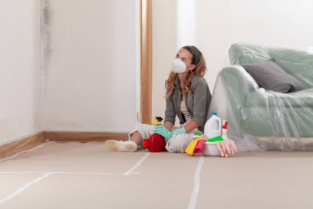 Reliable Basement Mold Removal contractor in Closter, NJ by WQB Mold Removal